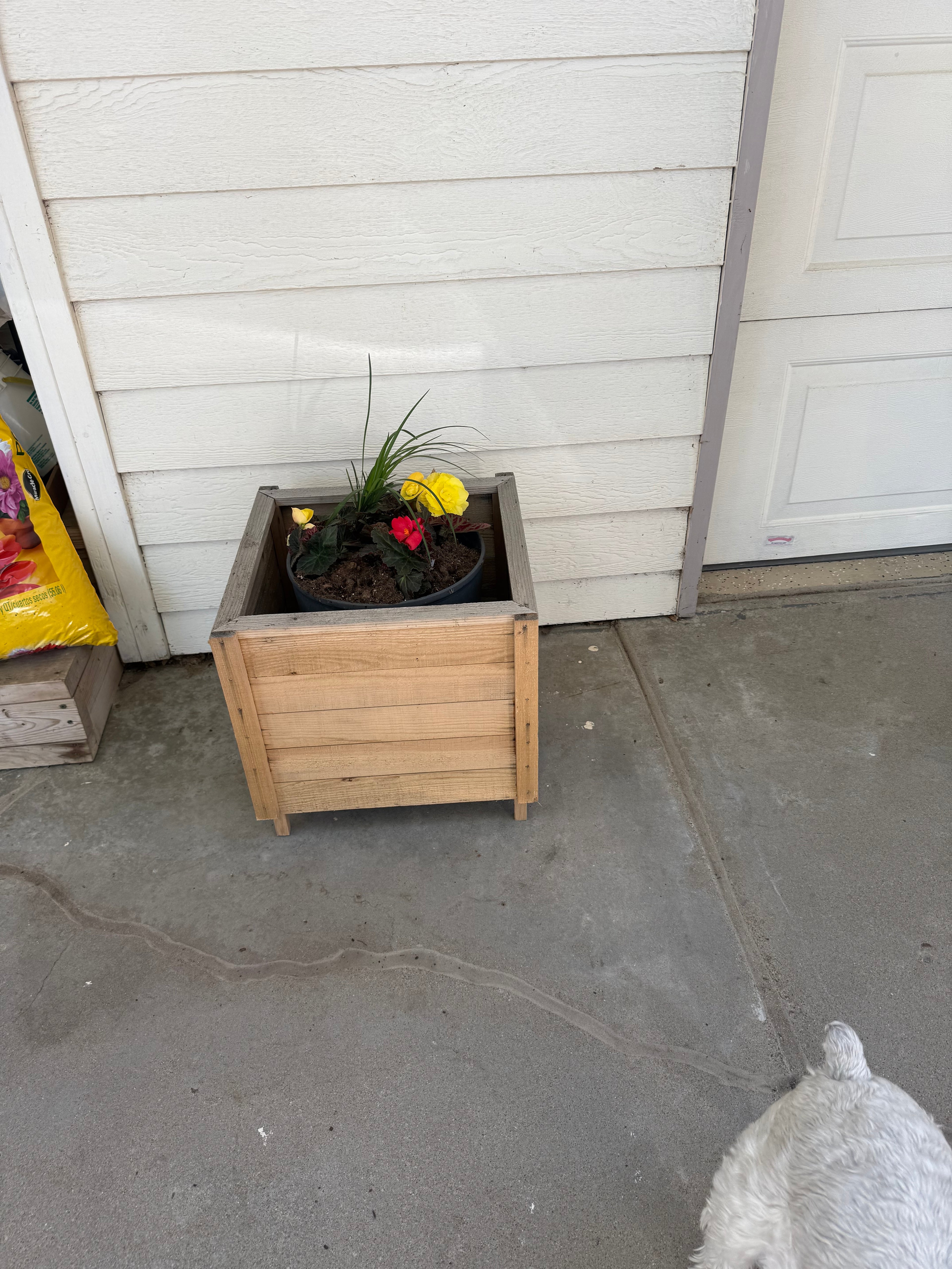 Handmade planter (flowers not included)